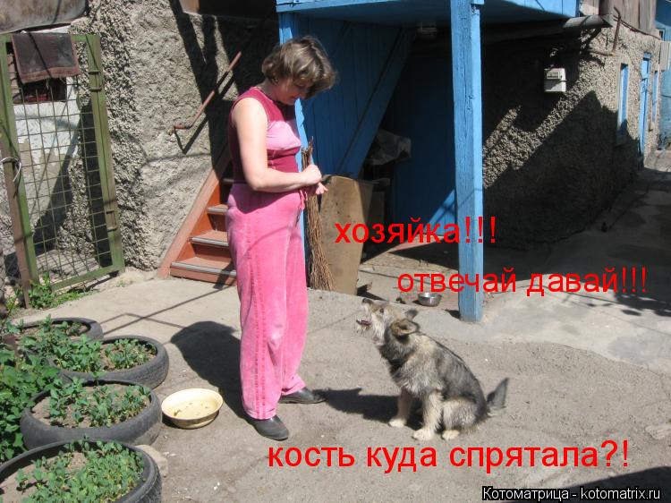 Котоматрица: хозяйка!!! кость куда спрятала?! отвечай давай!!!