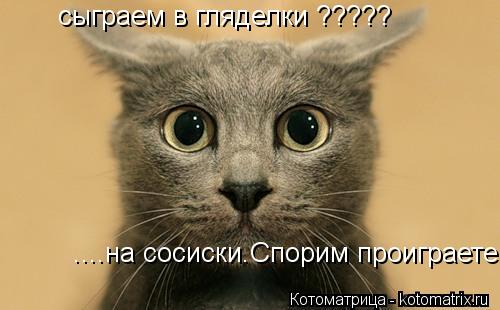 сыграем в гляделки ????? ....на сосиски.Спорим проиграете... Котоматрица: сыграем в гляделки ????? ....на сосиски.Спорим проиграете