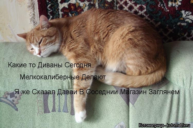 Какие то Диваны Сегодня Мелкокалиберные Делают Я же Сказал Даваи В Соседнии Магазин Заглянем... Котоматрица: Какие то Диваны Сегодня Мелкокалиберные Делают Я же Сказал Даваи В Соседнии Магазин Заглянем