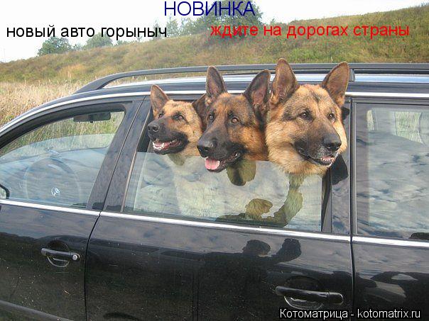 НОВИНКА новый авто горыныч ждите на дорогах страны... Котоматрица: НОВИНКА новый авто горыныч ждите на дорогах страны
