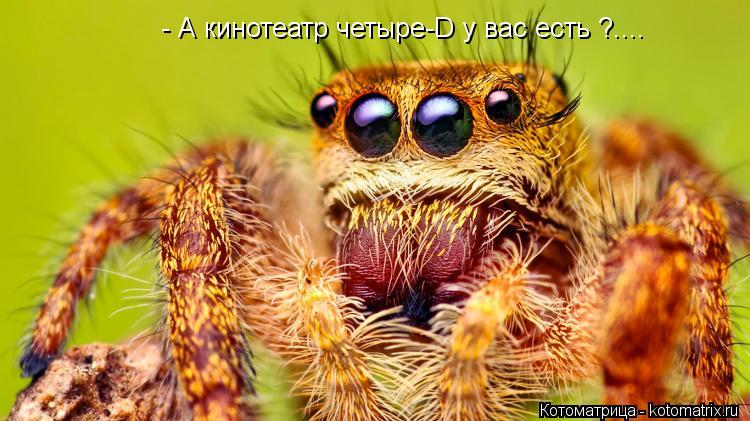 - А кинотеатр четыре-D у вас есть ?....... Котоматрица: - А кинотеатр четыре-D у вас есть ?....