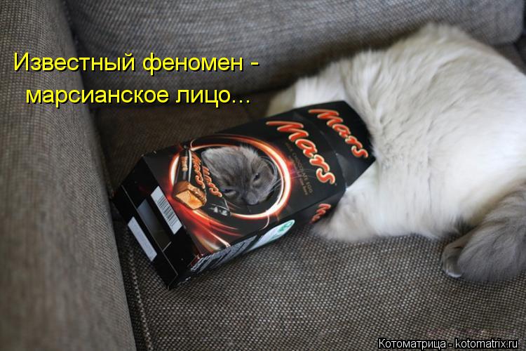 Известный феномен - марсианское лицо...... Котоматрица: Известный феномен - марсианское лицо...