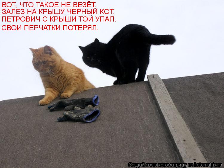 Котоматрица: ВОТ, ЧТО ТАКОЕ НЕ ВЕЗЁТ. ЗАЛЕЗ НА КРЫШУ ЧЕРНЫЙ КОТ. ПЕТРОВИЧ С КРЫШИ ТОЙ УПАЛ. СВОИ ПЕРЧАТКИ ПОТЕРЯЛ.