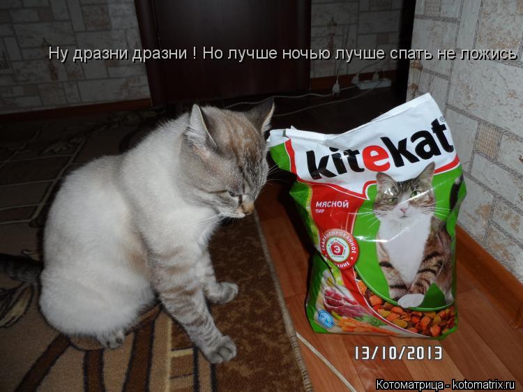 Ну дразни дразни ! Но лучше ночью лучше спать не ложись... Котоматрица: Ну дразни дразни ! Но лучше ночью лучше спать не ложись