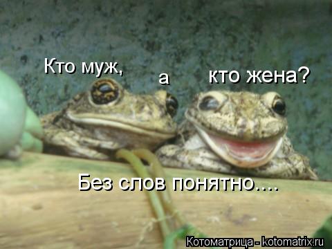 Кто муж, а кто жена? Без слов понятно....... Котоматрица: Кто муж, а кто жена? Без слов понятно....