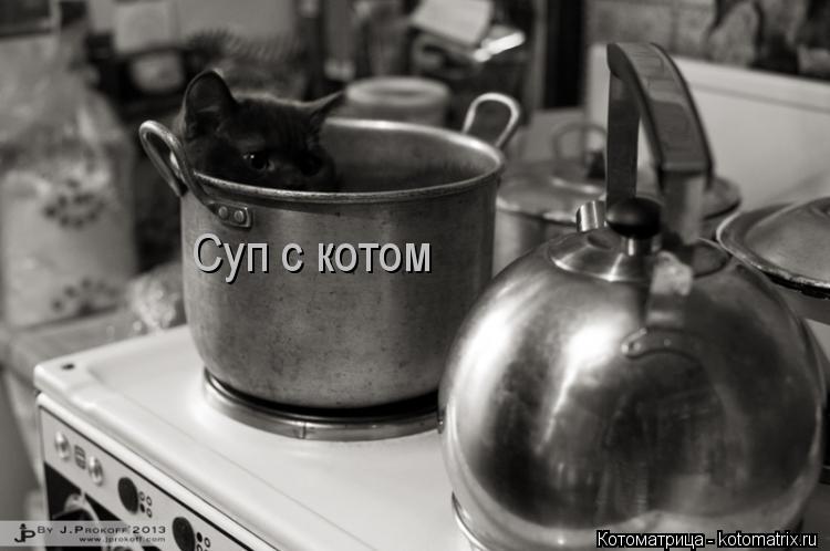 Суп с котом... Котоматрица: Суп с котом