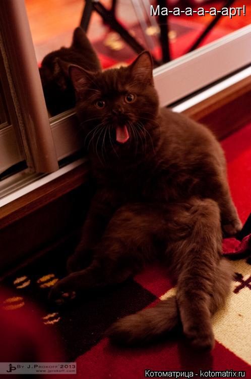 Ма-а-а-а-а-арт!... Котоматрица: Ма-а-а-а-а-арт!