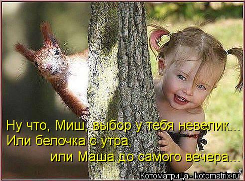 Ну что, Миш, выбор у тебя невелик... Или белочка с утра, или Маша до самого вечера...... Котоматрица: Ну что, Миш, выбор у тебя невелик... Или белочка с утра, или Маша до самого вечера...