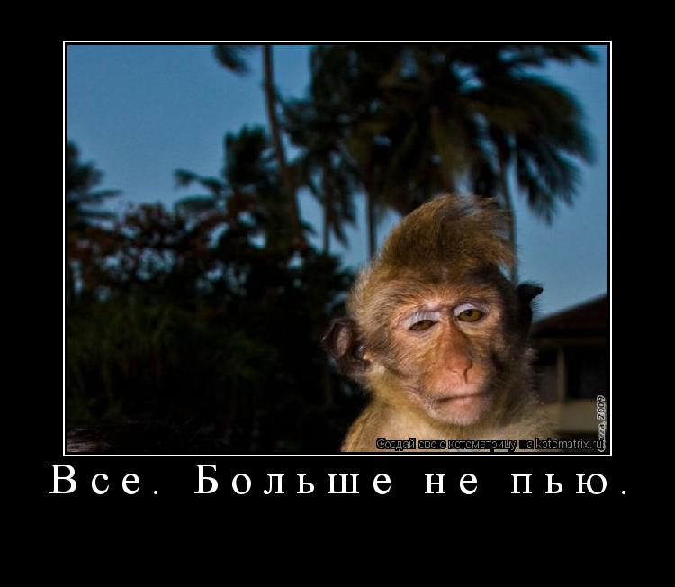 Котоматрица: Все. Больше не пью.  