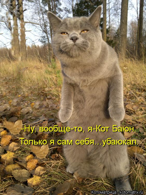 Котоматрица: -Ну, вообще-то, я-Кот Баюн. Только я сам себя...убаюкал.