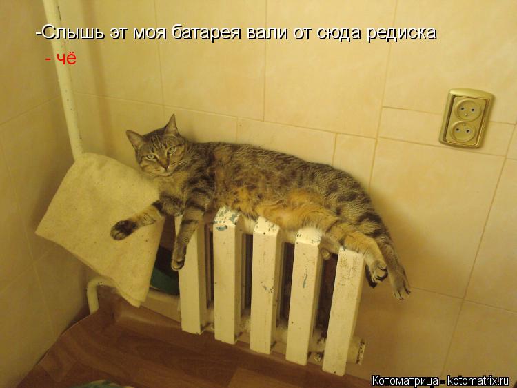 -Слышь эт моя батарея вали от сюда редиска - чё... Котоматрица: -Слышь эт моя батарея вали от сюда редиска - чё