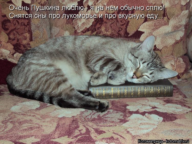 Котоматрица: Очень Пушкина люблю - я на нём обычно сплю! Очень Пушкина люблю - я на нём обычно сплю! Снятся сны про лукоморье и про вкусную еду... Снятся сны 