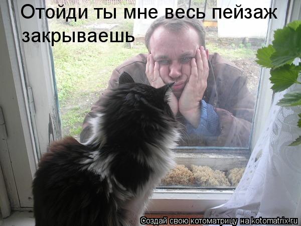 Отойди ты мне весь пейзаж закрываешь... Котоматрица: Отойди ты мне весь пейзаж закрываешь