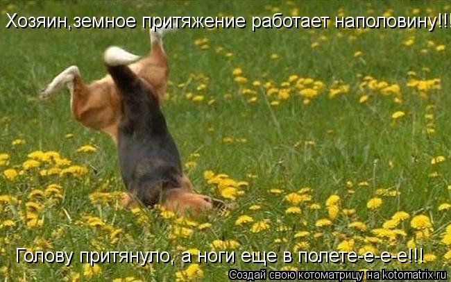Хозяин,земное притяжение работает наполовину!!!! Голову притянуло, а ноги еще в полете-е-е-е!!!... Котоматрица: Хозяин,земное притяжение работает наполовину!!!! Голову притянуло, а ноги еще в полете-е-е-е!!!