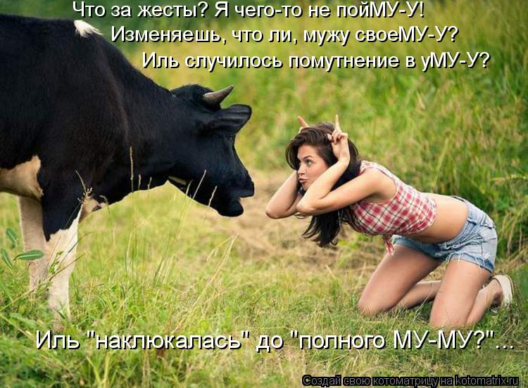 Что за жесты? Я чего-то не пойМУ-У! Иль случилось помутнение в уМУ-У? Изменяешь, что ли, мужу своеМУ-... Котоматрица: Что за жесты? Я чего-то не пойМУ-У! Иль случилось помутнение в уМУ-У? Изменяешь, что ли, мужу своеМУ-У? Иль "наклюкалась" до "полного МУ-МУ?"...