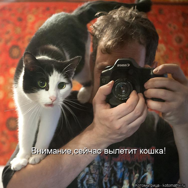 Внимание,сейчас вылетит кошка!... Котоматрица: Внимание,сейчас вылетит кошка!