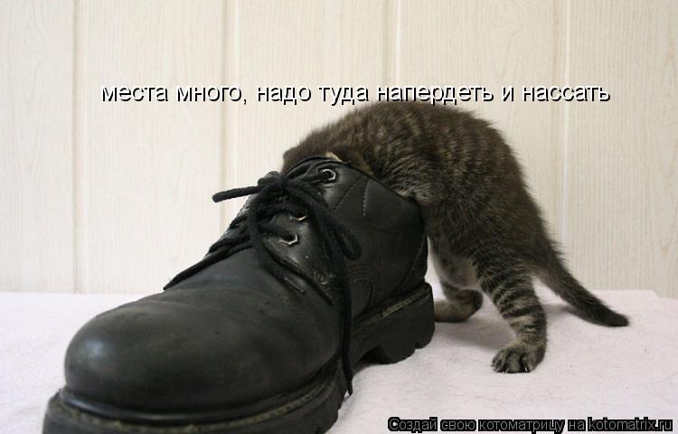 места много, надо туда напердеть и нассать... Котоматрица: места много, надо туда напердеть и нассать
