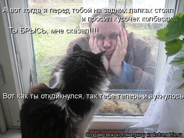 А вот когда я перед тобой на задних лапках стоял и просил кусочек колбаски... Ты БРЫСЬ, мне сказал!!!... Котоматрица: А вот когда я перед тобой на задних лапках стоял и просил кусочек колбаски... Ты БРЫСЬ, мне сказал!!!! Вот как ты откликнулся, так тебе теперь и