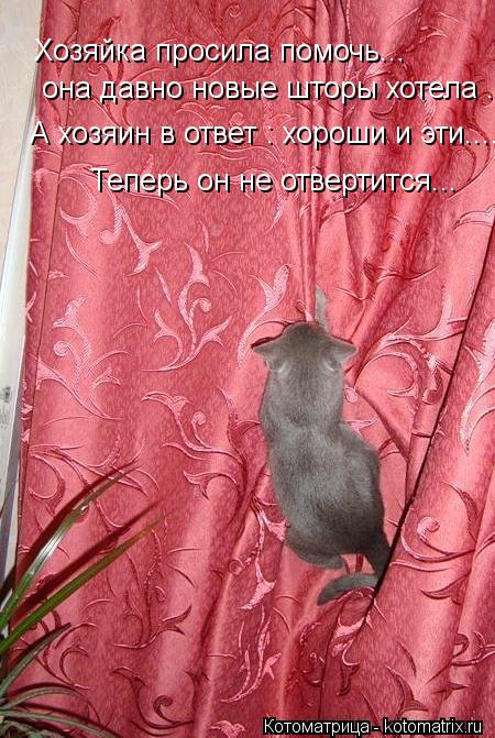 Хозяйка просила помочь... она давно новые шторы хотела .... А хозяин в ответ : хороши и эти.... Тепер... Котоматрица: Хозяйка просила помочь... она давно новые шторы хотела .... А хозяин в ответ : хороши и эти.... Теперь он не отвертится...
