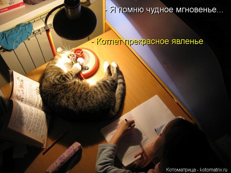 - Я помню чудное мгновенье... - Котлет прекрасное явленье... Котоматрица: - Я помню чудное мгновенье... - Котлет прекрасное явленье