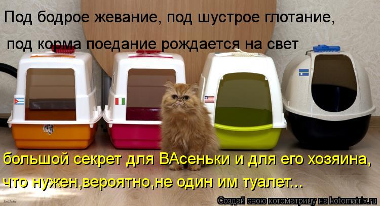 Под бодрое жевание, под шустрое глотание, большой секрет для ВАсеньки и для его хозяина, что нужен,в... Котоматрица: Под бодрое жевание, под шустрое глотание, большой секрет для ВАсеньки и для его хозяина, что нужен,вероятно,не один им туалет... под корма по