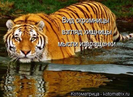 Вид скромницы взгляд хищницы мысли извращенки........ Котоматрица: Вид скромницы взгляд хищницы мысли извращенки.....