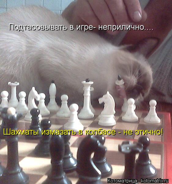 Подтасовывать в игре- неприлично.... Шахматы измазать в колбасе - не этично!... Котоматрица: Подтасовывать в игре- неприлично.... Шахматы измазать в колбасе - не этично!