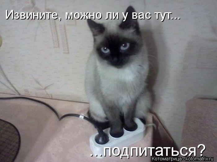 Извините, можно ли у вас тут... ...подпитаться?... Котоматрица: Извините, можно ли у вас тут... ...подпитаться?