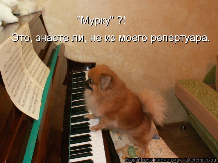 "Мурку" ?! Это, знаете ли, не из моего репертуара.... Котоматрица: "Мурку" ?! Это, знаете ли, не из моего репертуара.