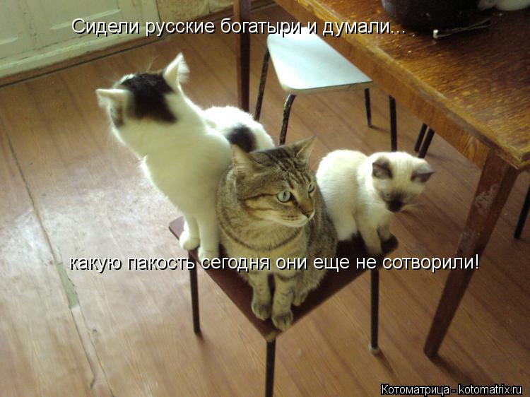 Сидели русские богатыри и думали... какую пакость сегодня они еще не сотворили!... Котоматрица: Сидели русские богатыри и думали... какую пакость сегодня они еще не сотворили!