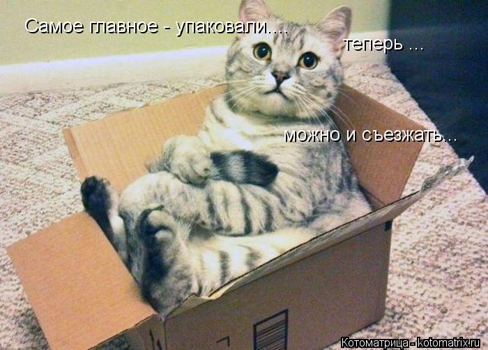 Самое главное - упаковали.... теперь ... можно и съезжать...... Котоматрица: Самое главное - упаковали.... теперь ... можно и съезжать...
