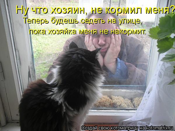 Ну что хозяин, не кормил меня?! Теперь будешь седеть на улице, пока хозяйка меня не накормит.... Котоматрица: Ну что хозяин, не кормил меня?! Теперь будешь седеть на улице, пока хозяйка меня не накормит.