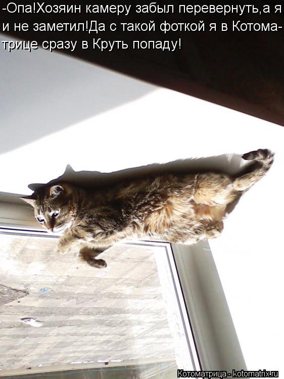 и не заметил!Да с такой фоткой я в Котома- -Опа!Хозяин камеру забыл перевернуть,а я трице сразу в Кру... Котоматрица: и не заметил!Да с такой фоткой я в Котома- -Опа!Хозяин камеру забыл перевернуть,а я трице сразу в Круть попаду!