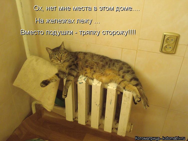 Ох, нет мне места в этом доме.... На железках лежу ... Вместо подушки - тряпку сторожу!!!!... Котоматрица: Ох, нет мне места в этом доме.... На железках лежу ... Вместо подушки - тряпку сторожу!!!!