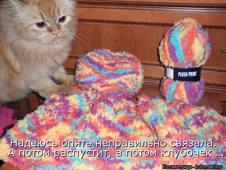 Надеюсь опять неправильно связала. А потом распустит, а потом клубочек….... Котоматрица: Надеюсь опять неправильно связала. А потом распустит, а потом клубочек….