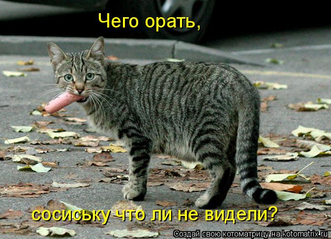 Чего орать, сосиську что ли не видели?... Котоматрица: Чего орать, сосиську что ли не видели?