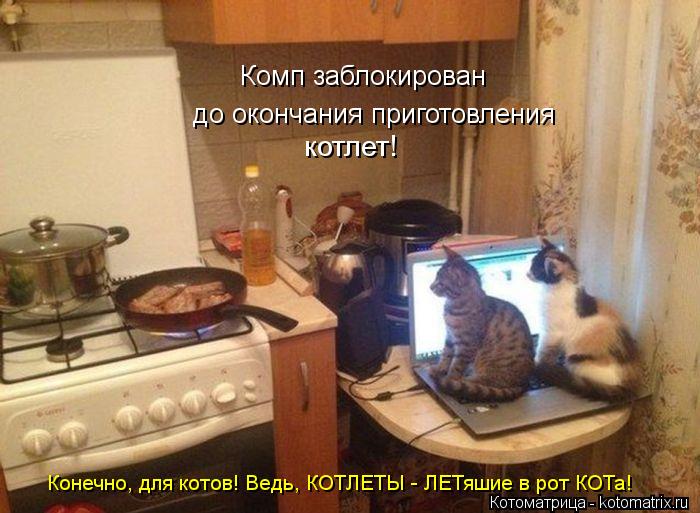 Комп заблокирован до окончания приготовления котлет! Конечно, для котов! Ведь, КОТЛЕТЫ - ЛЕТяшие в р... Котоматрица: Комп заблокирован до окончания приготовления котлет! Конечно, для котов! Ведь, КОТЛЕТЫ - ЛЕТяшие в рот КОТа!