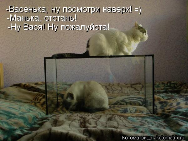 -Васенька, ну посмотри наверх! -Васенька, ну посмотри наверх! -Манька, отстань! -Ну Вася! Ну пожалуйс... Котоматрица: -Васенька, ну посмотри наверх! -Васенька, ну посмотри наверх! -Манька, отстань! -Ну Вася! Ну пожалуйста! =)