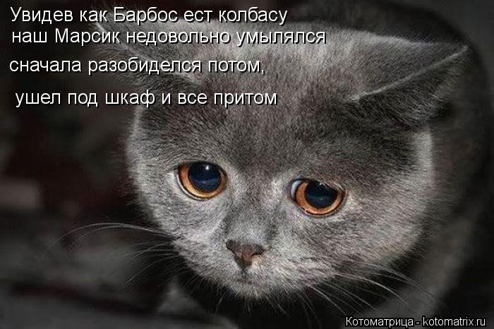 Котоматрица: Увидев как Барбос ест колбасу наш Марсик недовольно умылялся сначала разобиделся потом, ушел под шкаф и все притом