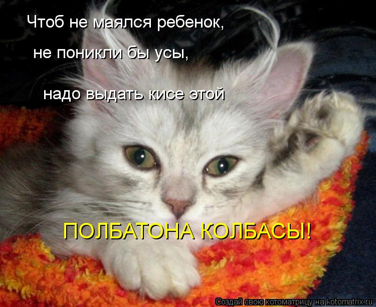 Чтоб не маялся ребенок, не поникли бы усы, надо выдать кисе этой ПОЛБАТОНА КОЛБАСЫ!... Котоматрица: Чтоб не маялся ребенок, не поникли бы усы, надо выдать кисе этой ПОЛБАТОНА КОЛБАСЫ!