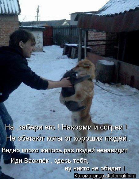 Котоматрица: На ,забери его ! Накорми и согрей ! Не сбегают коты от хороших людей . Видно плохо жилось,раз людей ненавидит . ну никто не обидит !   Иди Василё