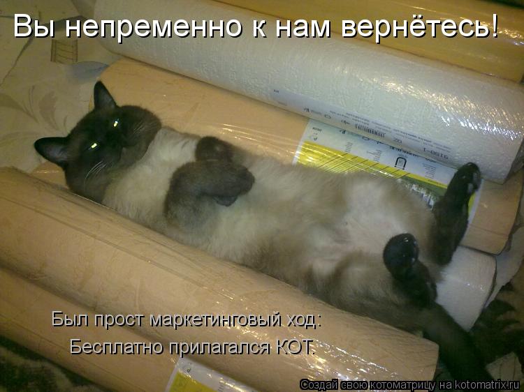Бесплатно прилагался КОТ. Вы непременно к нам вернётесь! Был прост маркетинговый ход:... Котоматрица: Бесплатно прилагался КОТ. Вы непременно к нам вернётесь! Был прост маркетинговый ход: