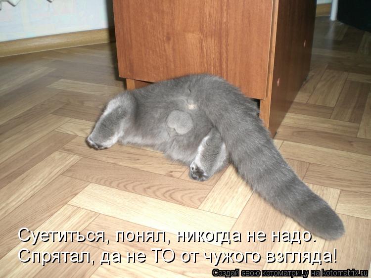 Котоматрица: Спрятал, да не ТО от чужого взгляда! Суетиться, понял, никогда не надо.