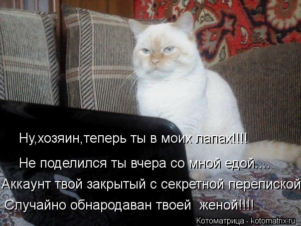 Ну,хозяин,теперь ты в моих лапах!!!! Не поделился ты вчера со мной едой.... Аккаунт твой закрытый с с... Котоматрица: Ну,хозяин,теперь ты в моих лапах!!!! Не поделился ты вчера со мной едой.... Аккаунт твой закрытый с секретной перепиской Случайно обнародаван