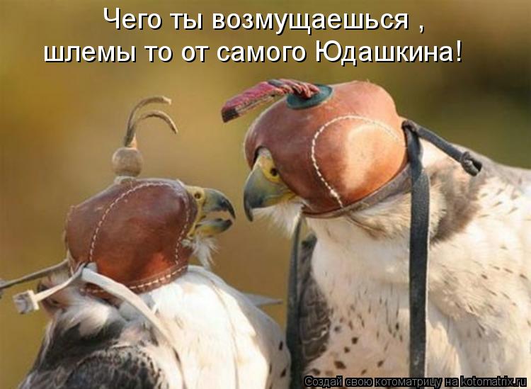 Котоматрица: Чего ты возмущаешься , шлемы то от самого Юдашкина!