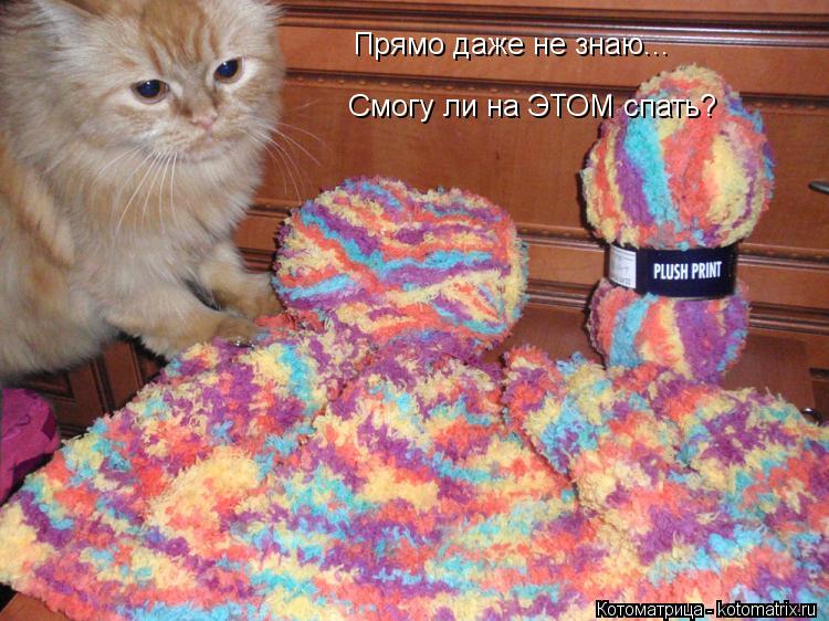 Прямо даже не знаю... Смогу ли на ЭТОМ спать?... Котоматрица: Прямо даже не знаю... Смогу ли на ЭТОМ спать?