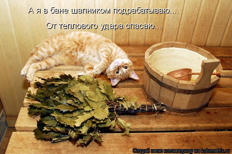 А я в бане шапником подрабатываю.... От теплового удара спасаю...... Котоматрица: А я в бане шапником подрабатываю.... От теплового удара спасаю...