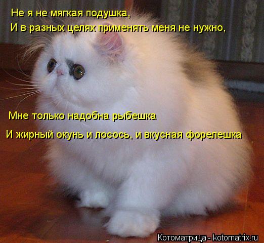 Не я не мягкая подушка, И в разных целях применять меня не нужно, Мне только надобна рыбешка И жирный... Котоматрица: Не я не мягкая подушка, И в разных целях применять меня не нужно, Мне только надобна рыбешка И жирный окунь и лосось, и вкусная форелешка