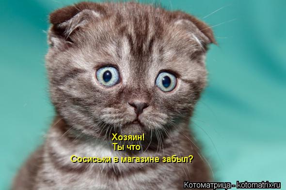 Хозяин! Ты что Сосиськи в магазине забыл?... Котоматрица: Хозяин! Ты что Сосиськи в магазине забыл?