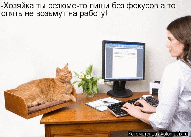 -Хозяйка,ты резюме-то пиши без фокусов,а то опять не возьмут на работу!... Котоматрица: -Хозяйка,ты резюме-то пиши без фокусов,а то опять не возьмут на работу!